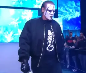 Aew Sting Bomber Jacket