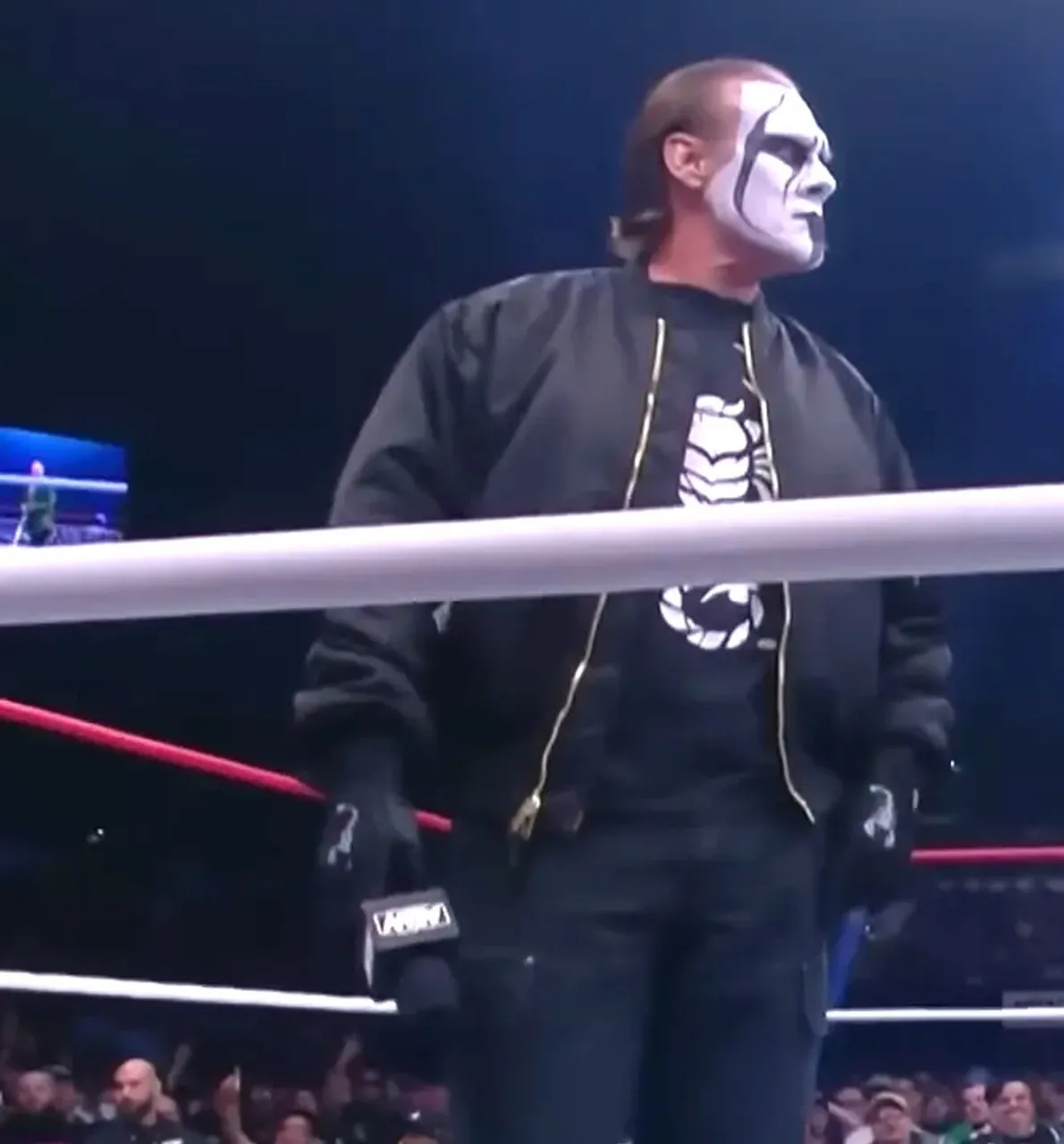 Aew Sting Bomber Jacket