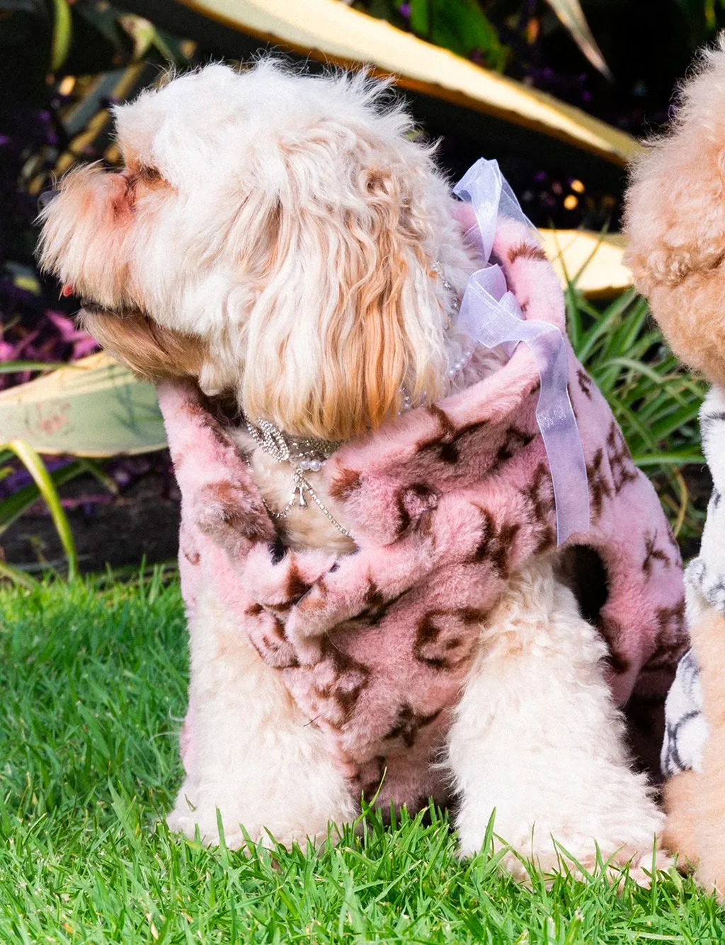 FASHION KILLA FAUX FUR DOG JACKET - PINK